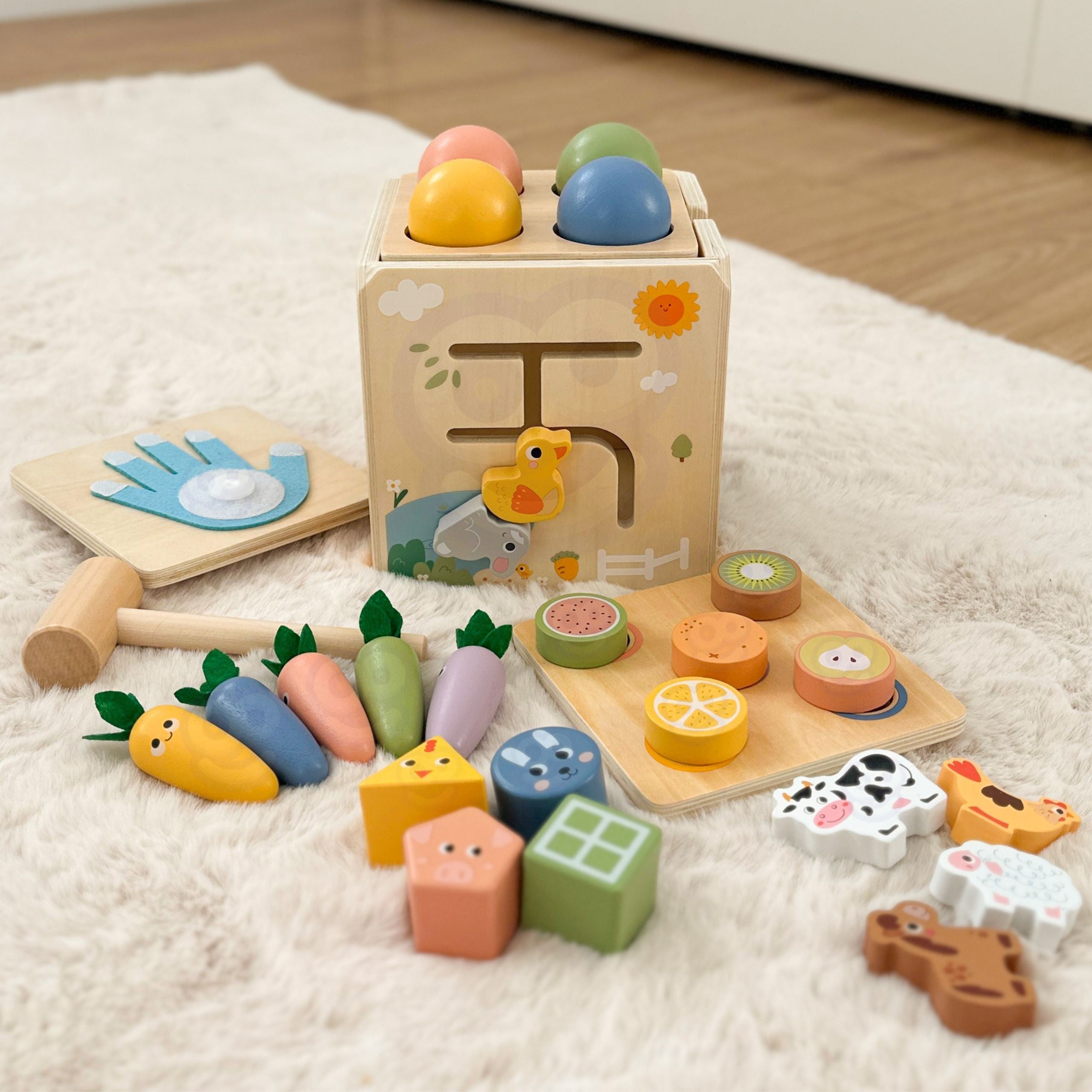 Tooky Toy Wooden Spring Educational Cube 5-in-1