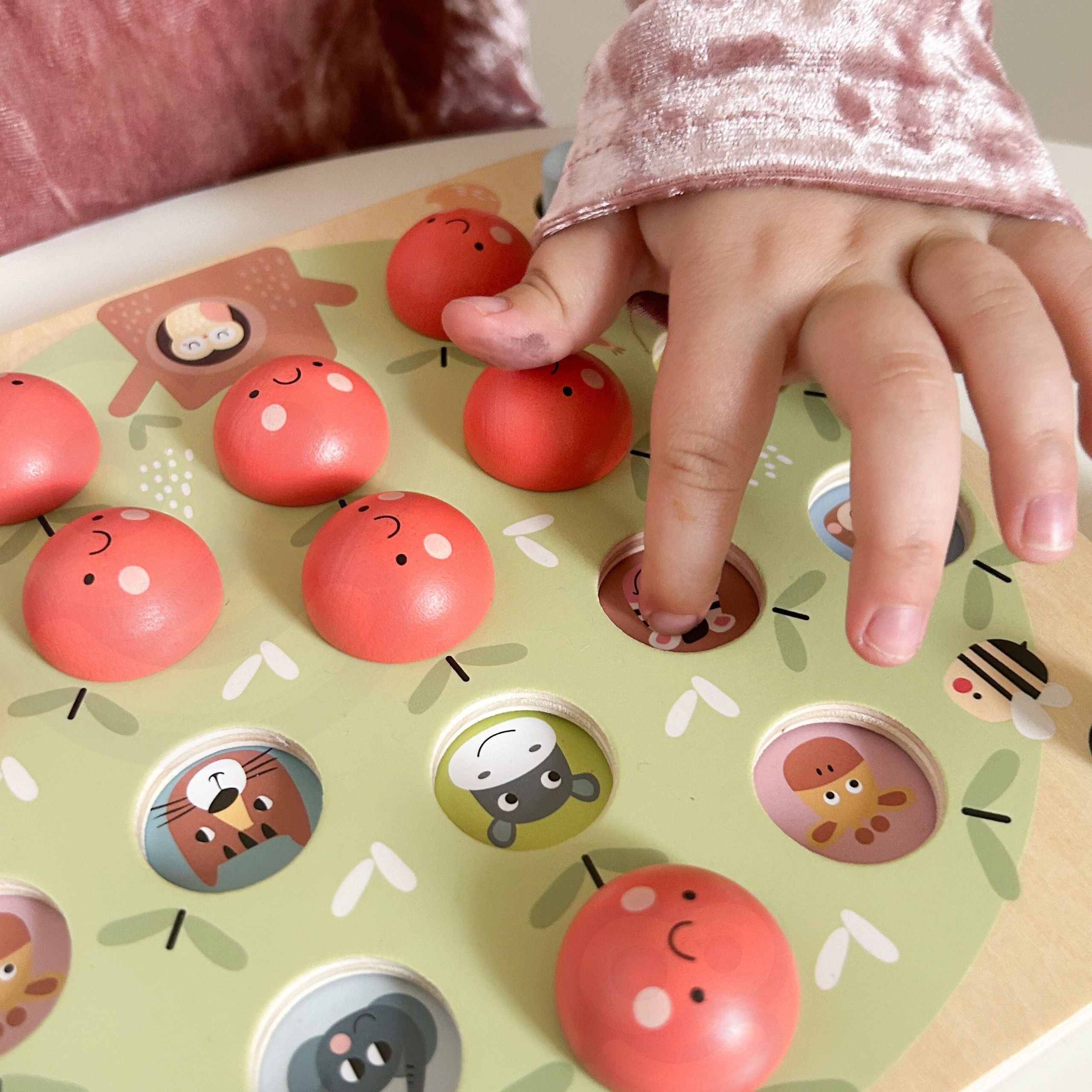 Tooky Toy Memory Gioco di memoria Apple