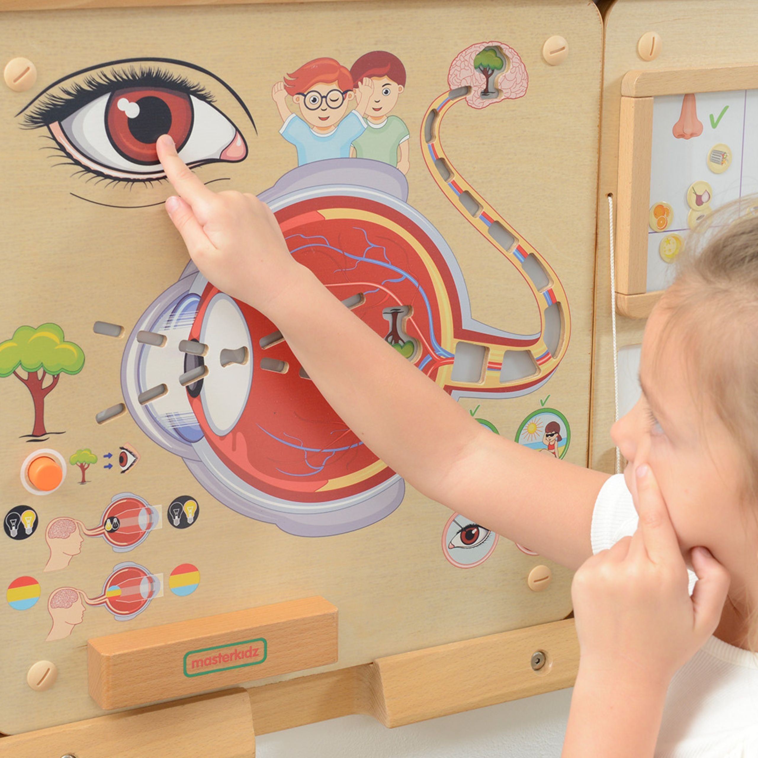 Board educațional Masterkidz Montessori Visual Sense