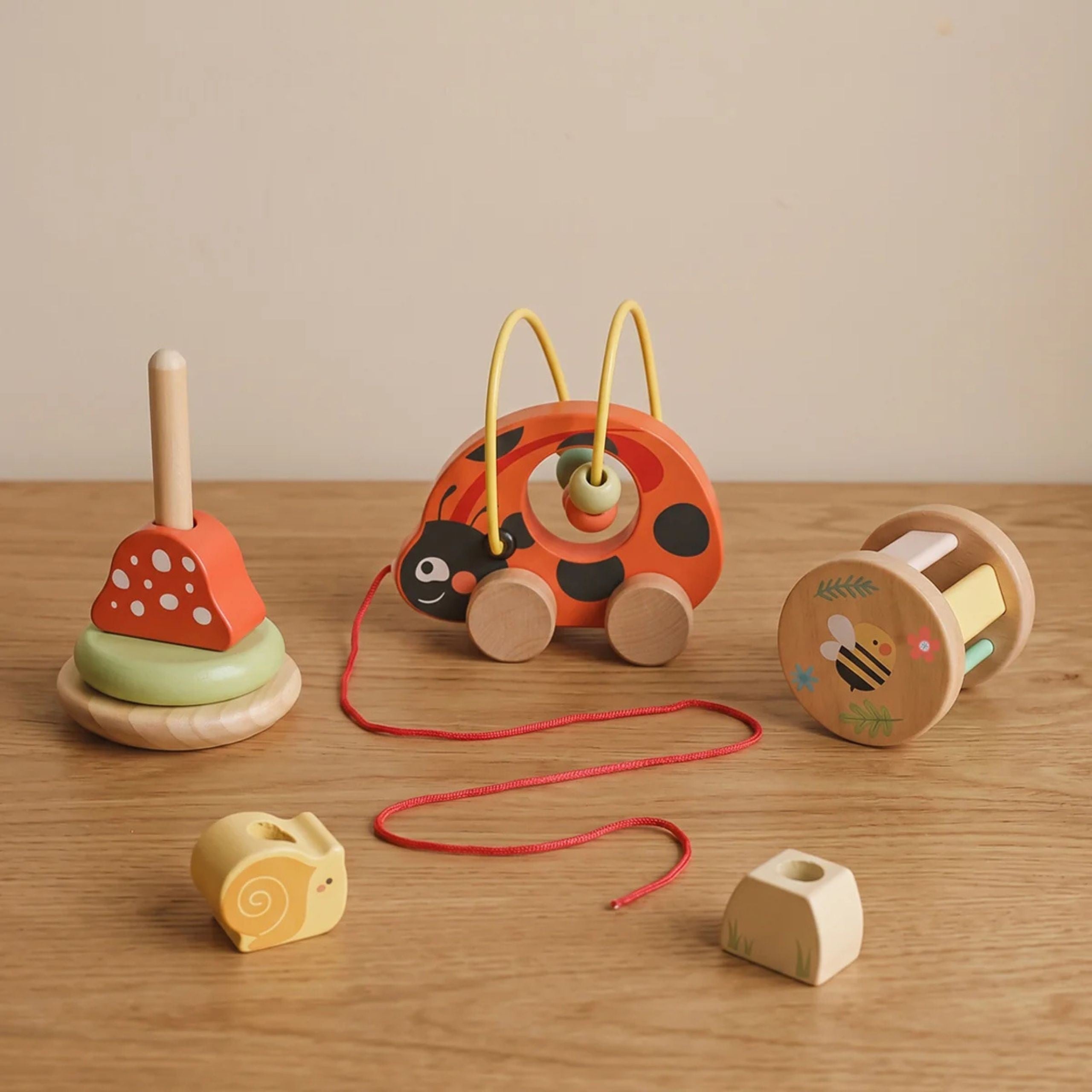 Tooky Toy Ladybug Ensemble de jeu de développement 3 en 1