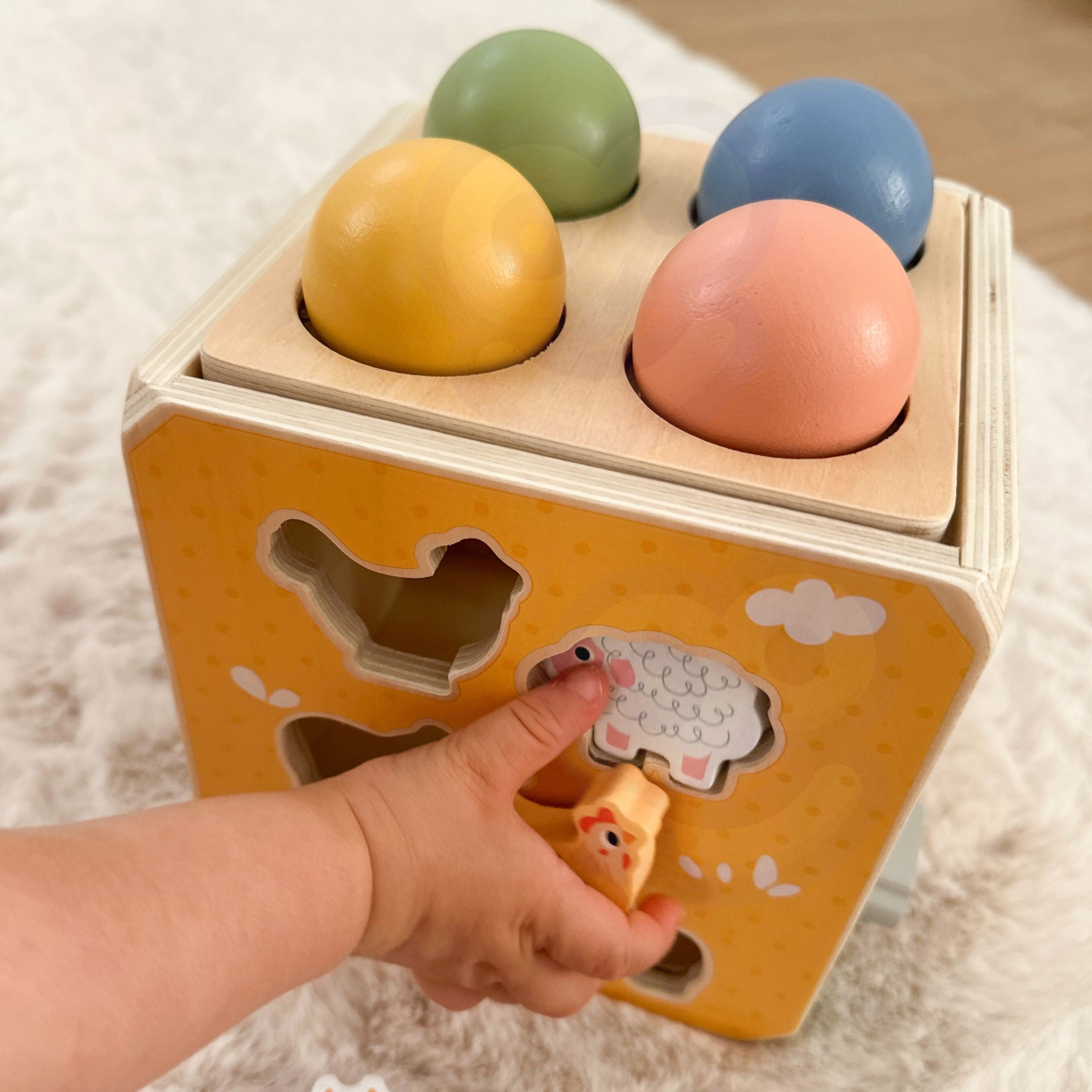 Tooky Toy Wooden Spring Educational Cube 5-in-1