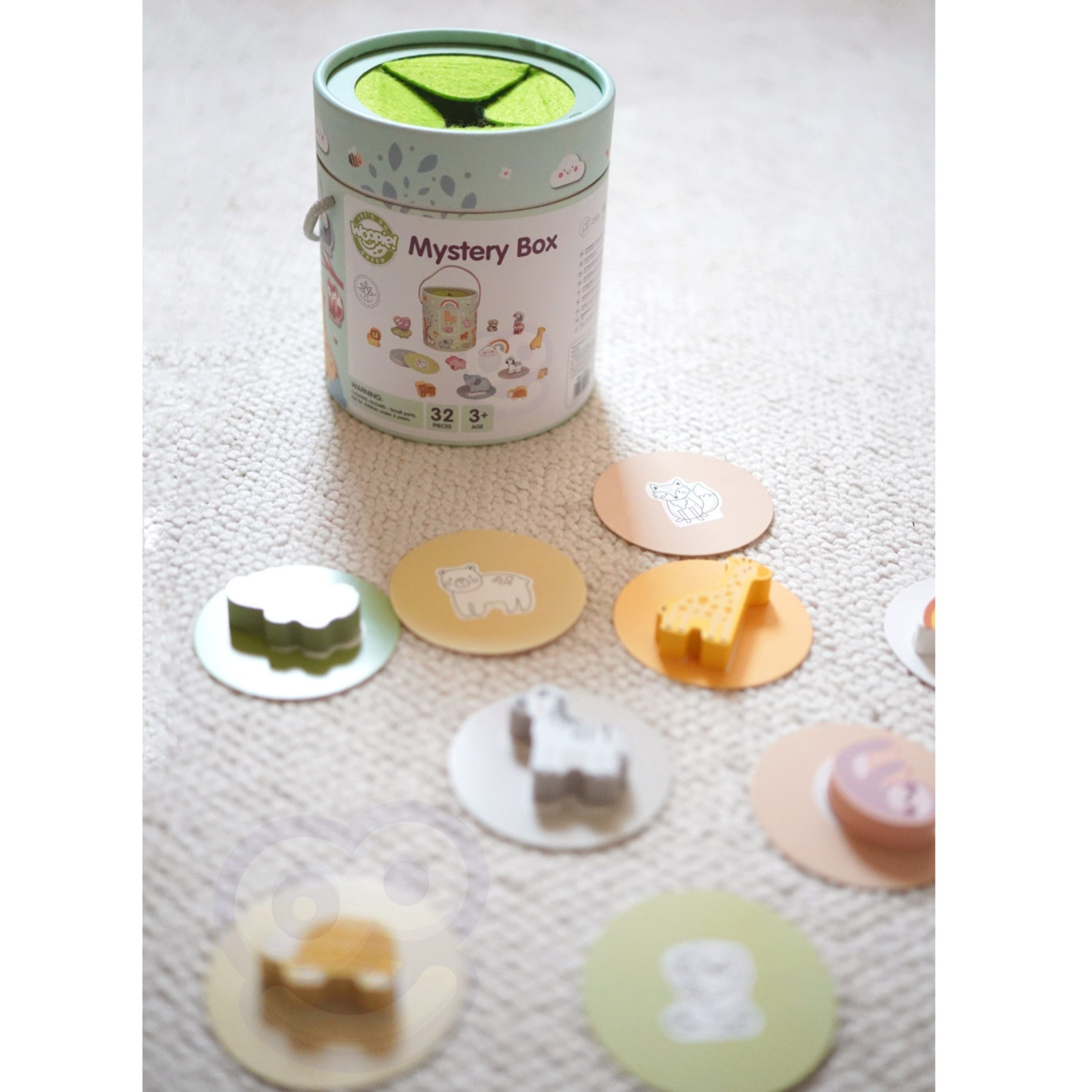 Woopie Green Touch & Match Mystery Box Fsc