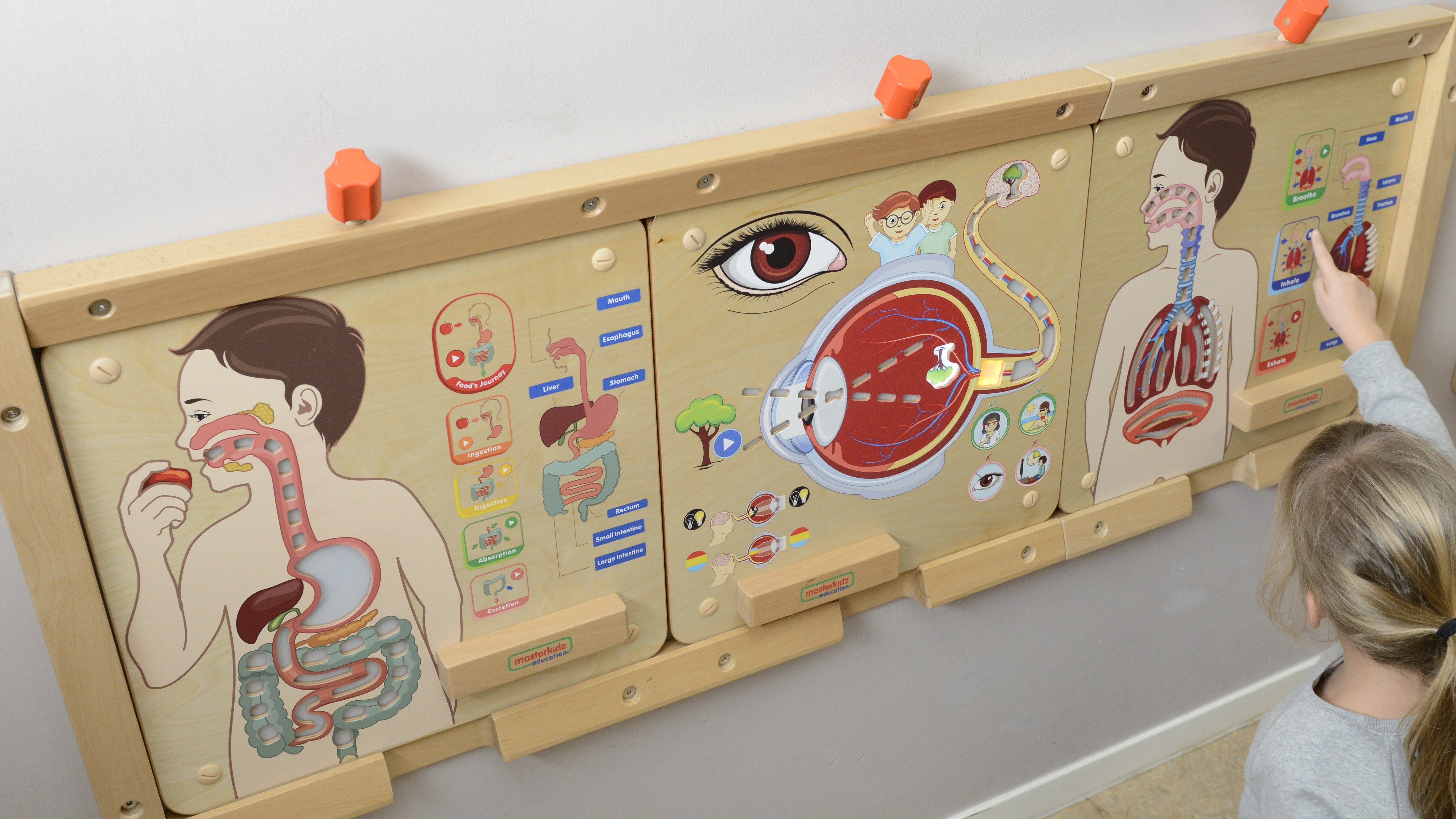 Masterkidz Montessori Légzőrendszer Oktatási Tanácsa