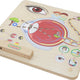 Vzdelávacia rada Montessori Visual Sense Masterkidz