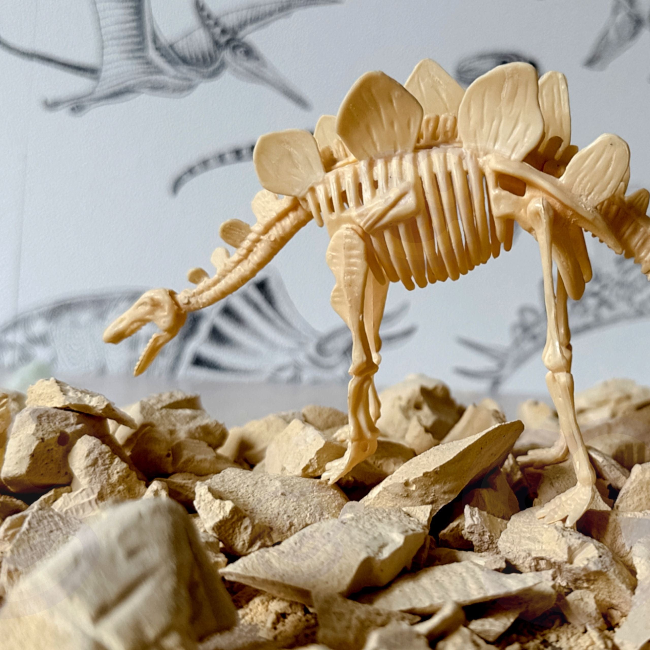 Woopie Kreatives Spielzeug-Dinosaurier-Skelett, archäologische Ausgrabung