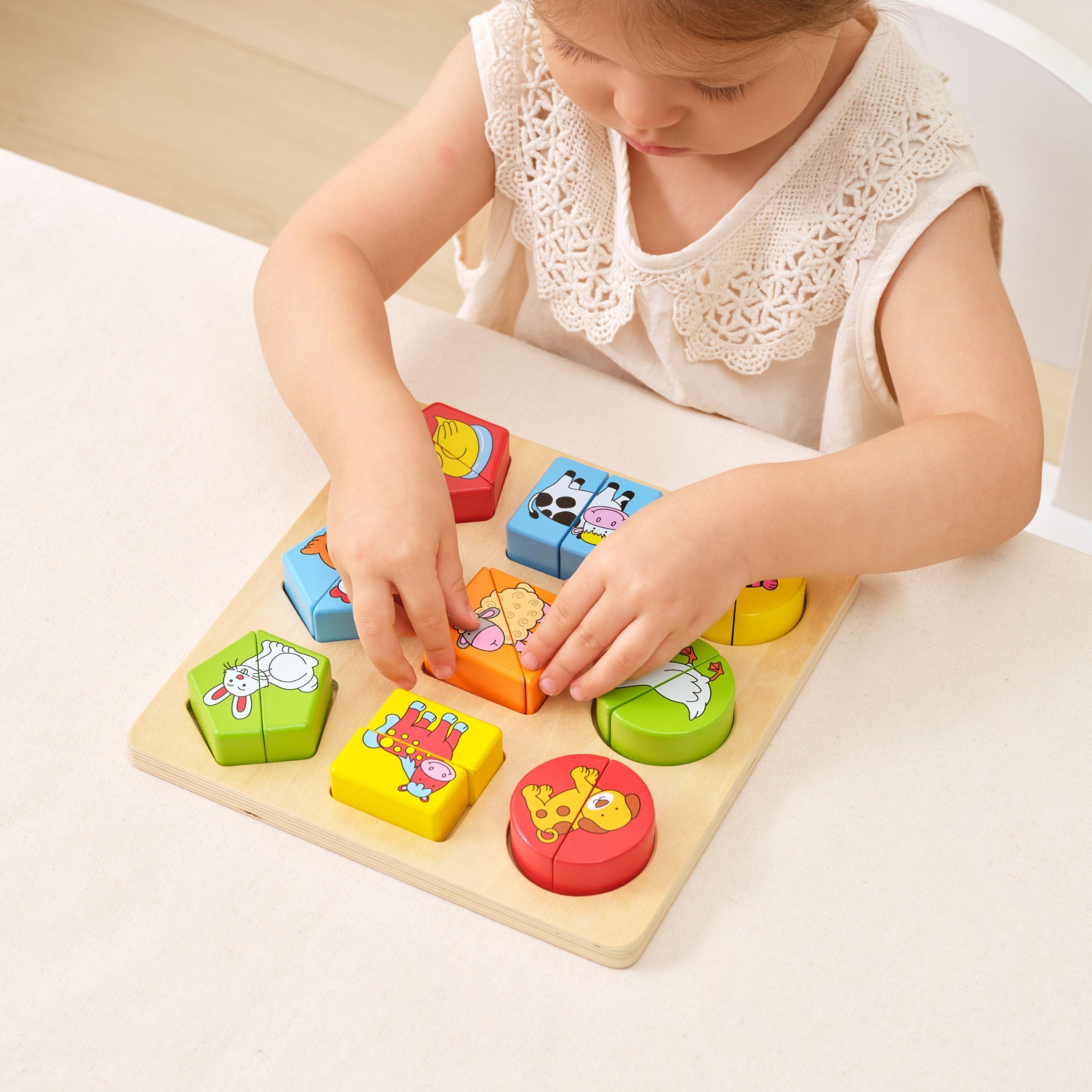 Viga Educational Wooden Animal Puzzles