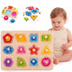 Tooky Toy Puzzle Montessori Shape Learning Puzzle With Pushpins