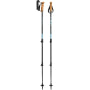 Leki Walking Sticks