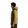 The North Face Men's Transitional Jacket