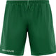 Спортни шорти Givova One Green