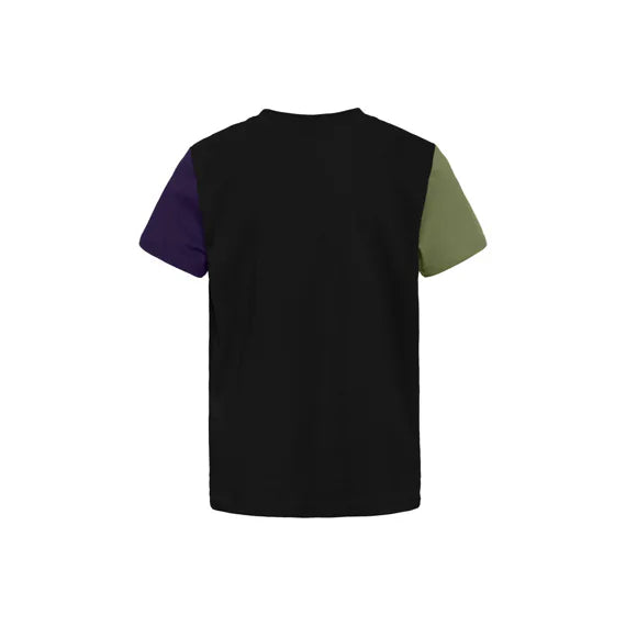 Horsefeathers Fair Youth Tshirt (multicolor)