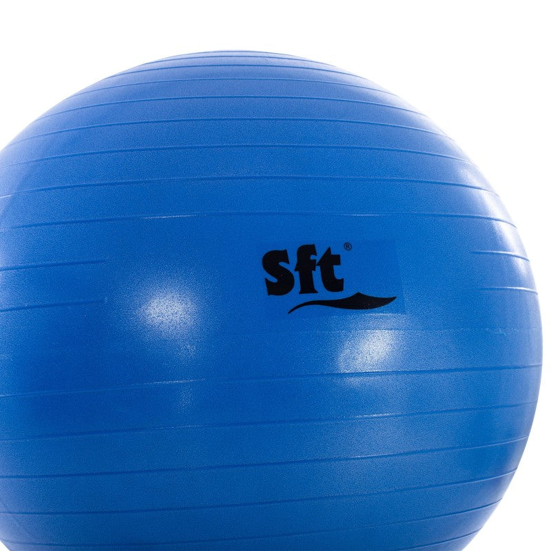 Giant Ball Softee Flexi Violeta