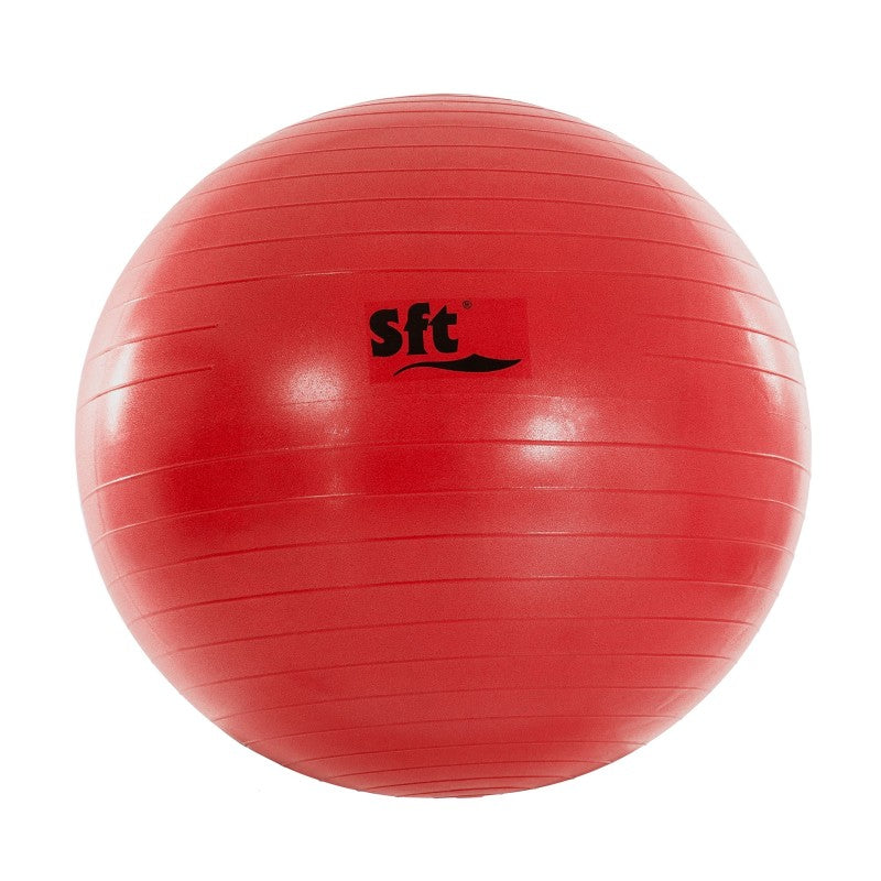 Giant Ball Softee Flexi Violeta