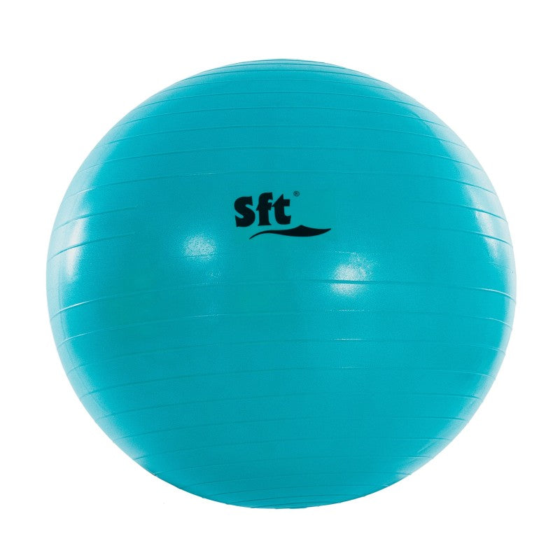 Giant Ball Softee Flexi Violeta