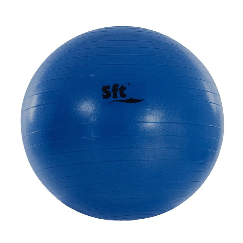 Giant Ball Softee Flexi Violeta