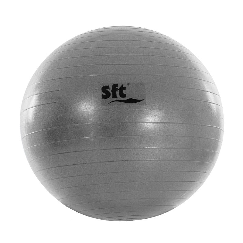 Giant Ball Softee Flexi Violeta