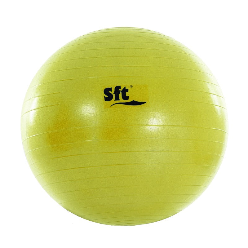 Giant Ball Softee Flexi Violeta