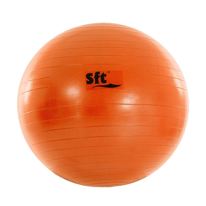 Giant Ball Softee Flexi Violeta