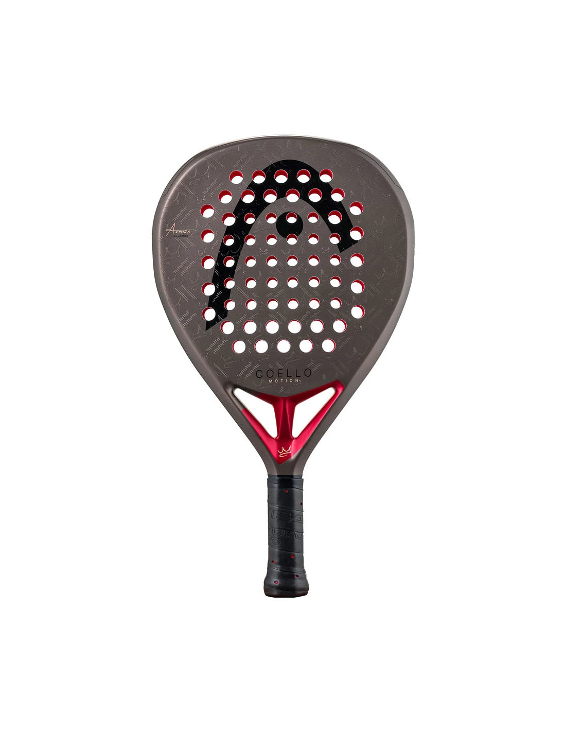 Head Coello Motion 2026