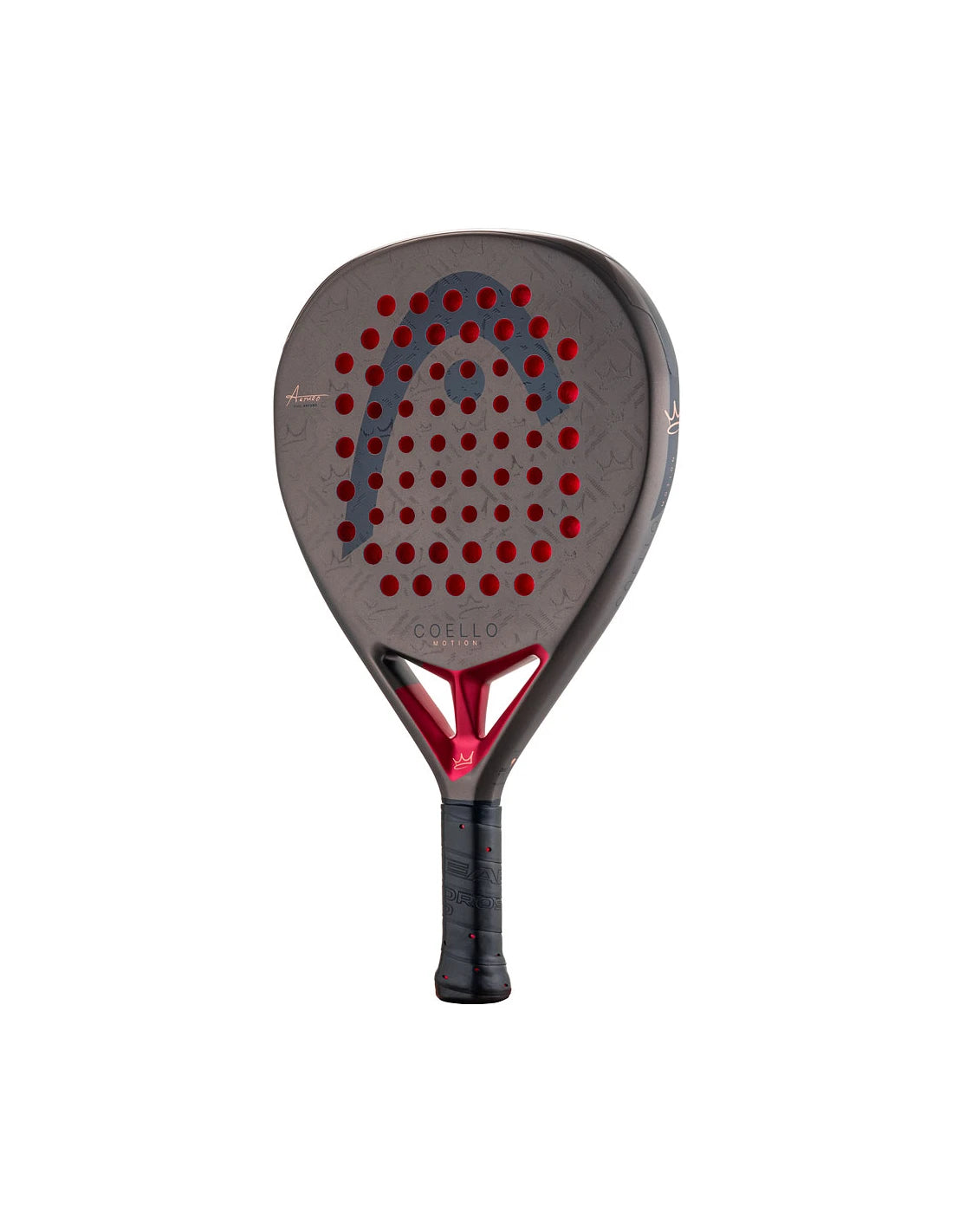 Head Coello Motion 2026