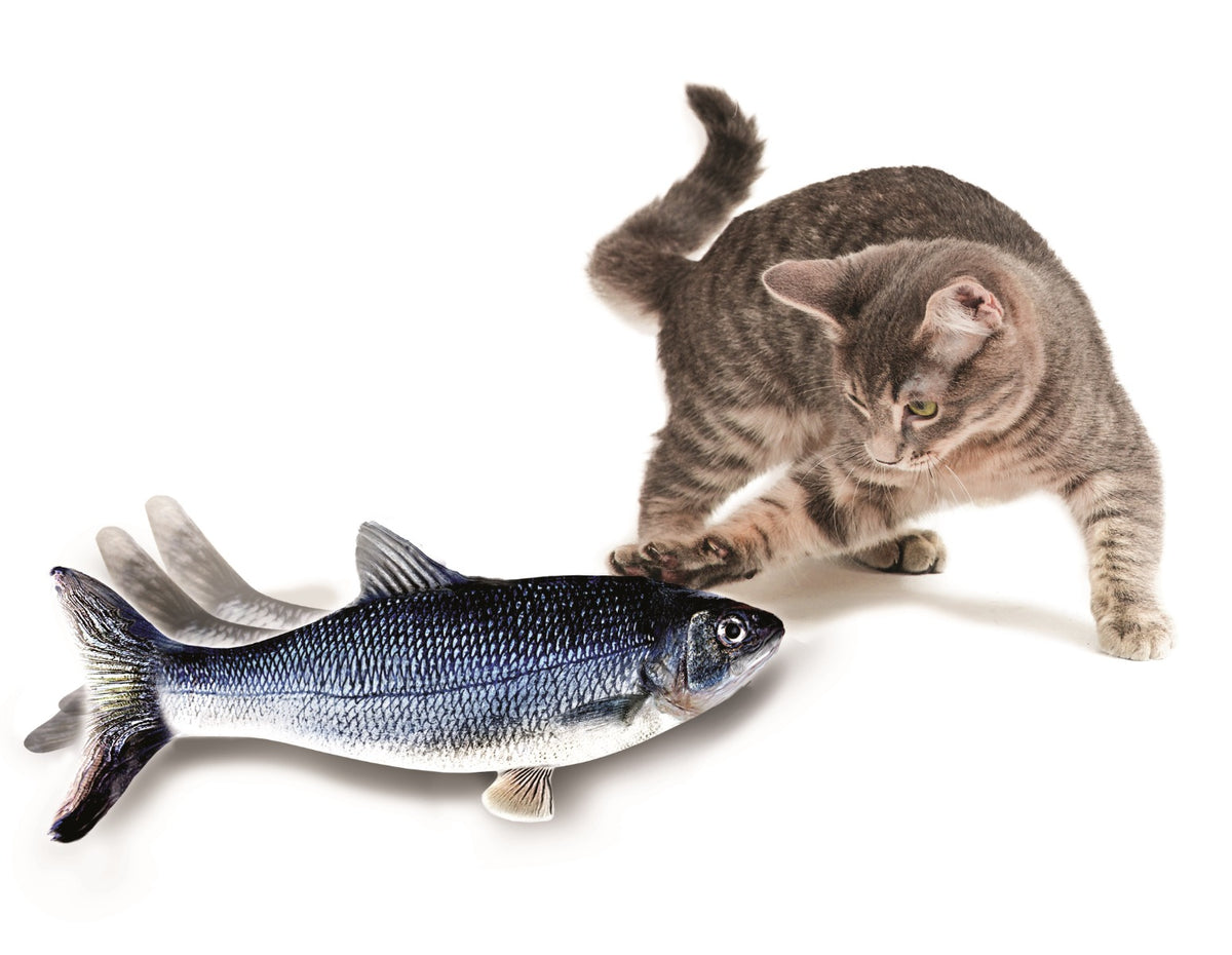Flippity Fish – Katzenspielzeug