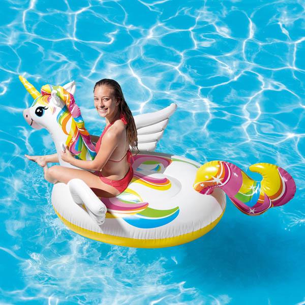 The Inflatable Unicorn