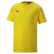 Puma Team Goal Kids T-shirt