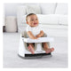 Ingenuity Baby Base 2-in-1 Seat - Cashmere