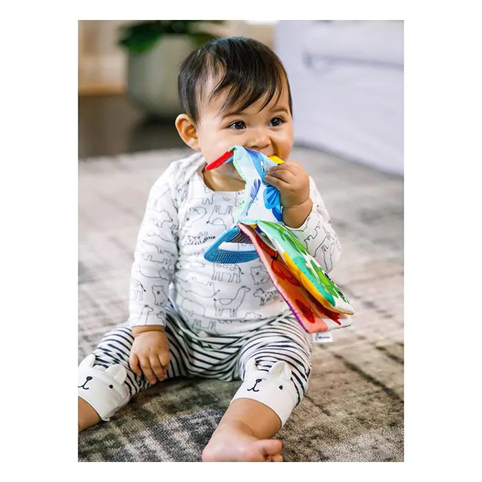 Baby Einstein Curious Explorers Teether Книга