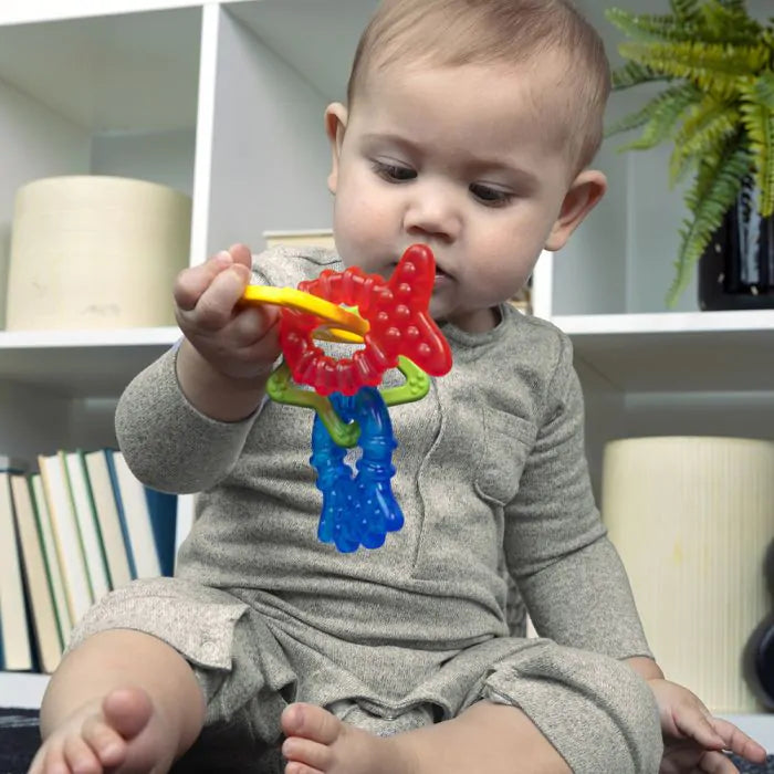Baby Einstein Ocean Explorers Cool Critter Teether Set