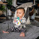 Baby Einstein Ocean Explorers Maritime Melodies Toy