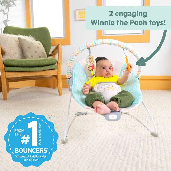 Bright Starts Winnie The Pooh Vibrating Bouncer