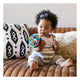 Baby Einstein Bendy Ball Rattle Toy