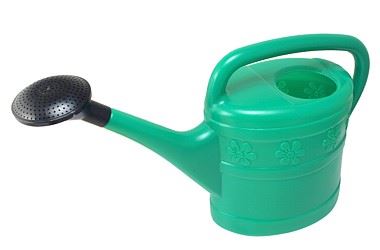 Garden Watering Can 10l Beast