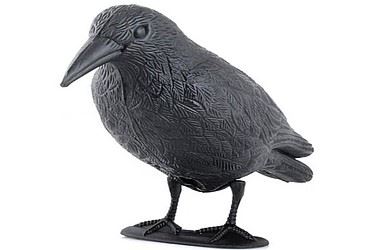 Pigeon Repeller Holdbar sort plastik 37 Cm Beast