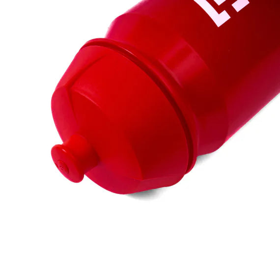 Horsefeathers Water Bottle 0.5 L (red)