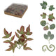 Home Accents Decorative Leaves/tillandsia 12 Cm 6 Assorted