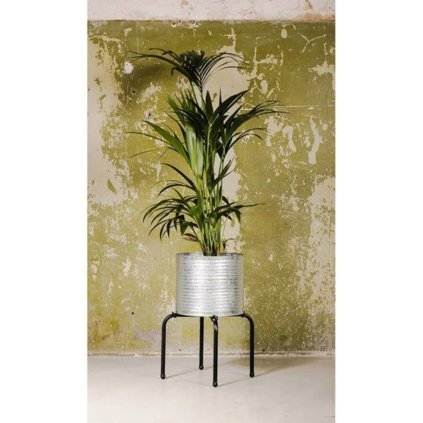 Senza Flower Pot On Metal Stand 51 Cm