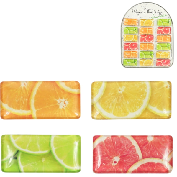 Magnet Fruit Vitamin Kick 5,8 cm 4 Sortiert