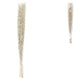 Bundle Of Dried Saras Grass White 110 Cm