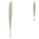 Bundle Of Dried Saras Grass White 110 Cm