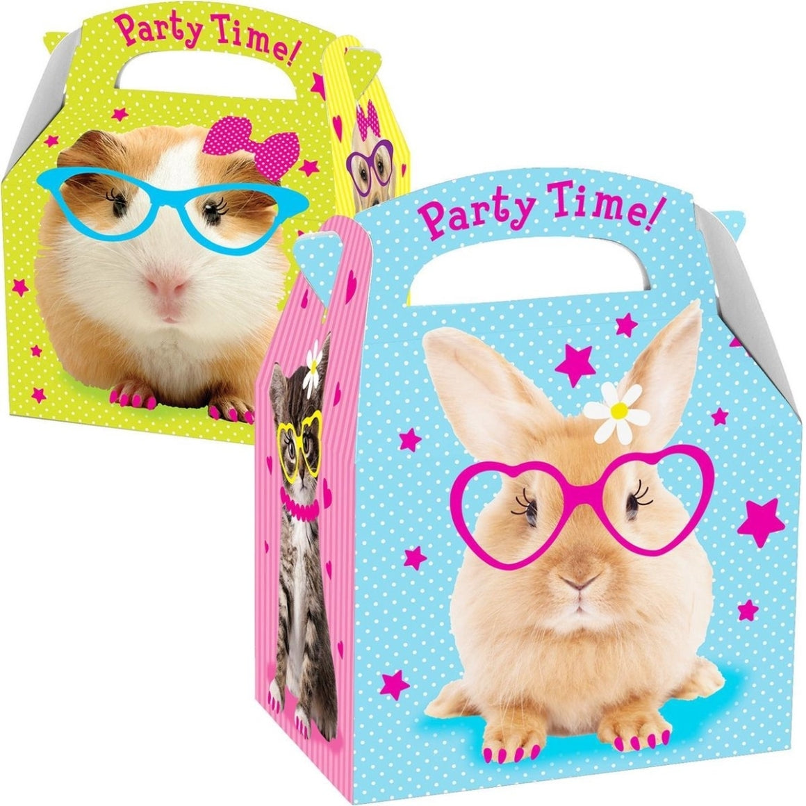Pet Treat Box 18 Cm