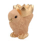 Orange Chick Dish 19 Cm
