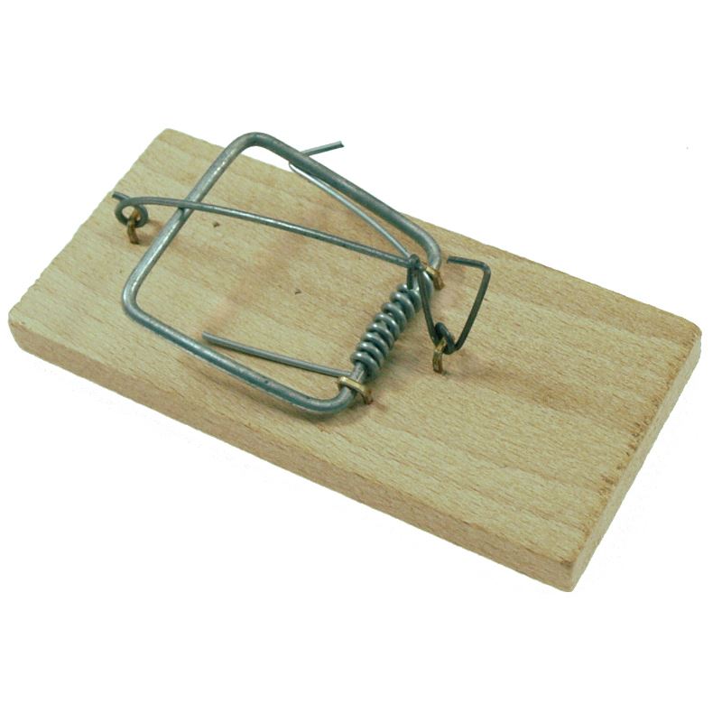 Ensemble de pièges à souris en bois, 5 pièces, mécanisme à ressort de 11 Cm, bête