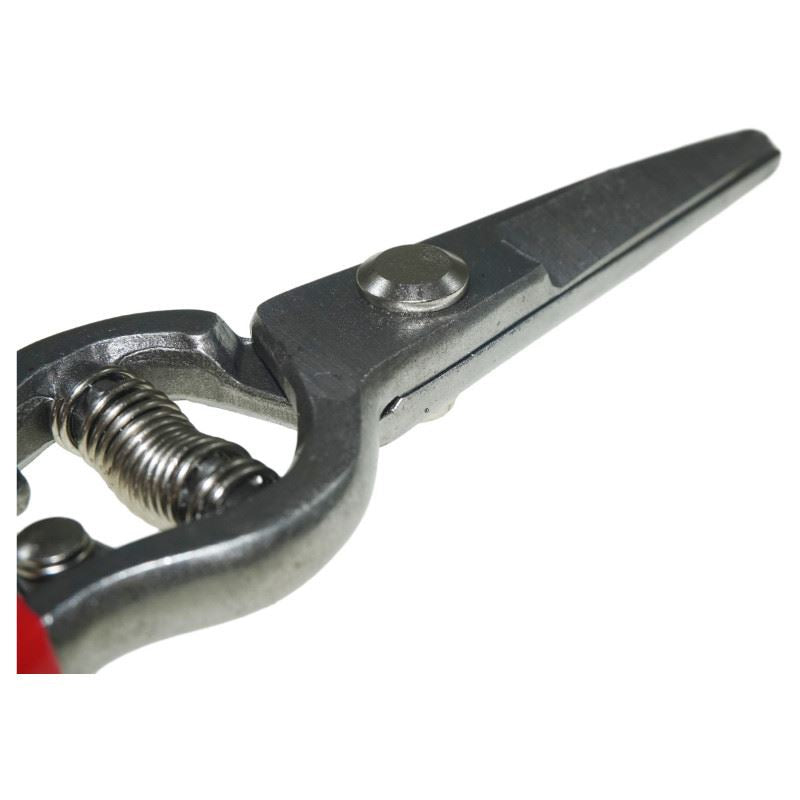Podadora De Precisión Mango Ergonómico 200 Mm Beast
