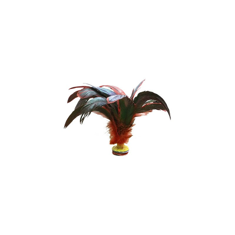 Set Of 6 Football Indiakas With Dark Plumes Multicolor