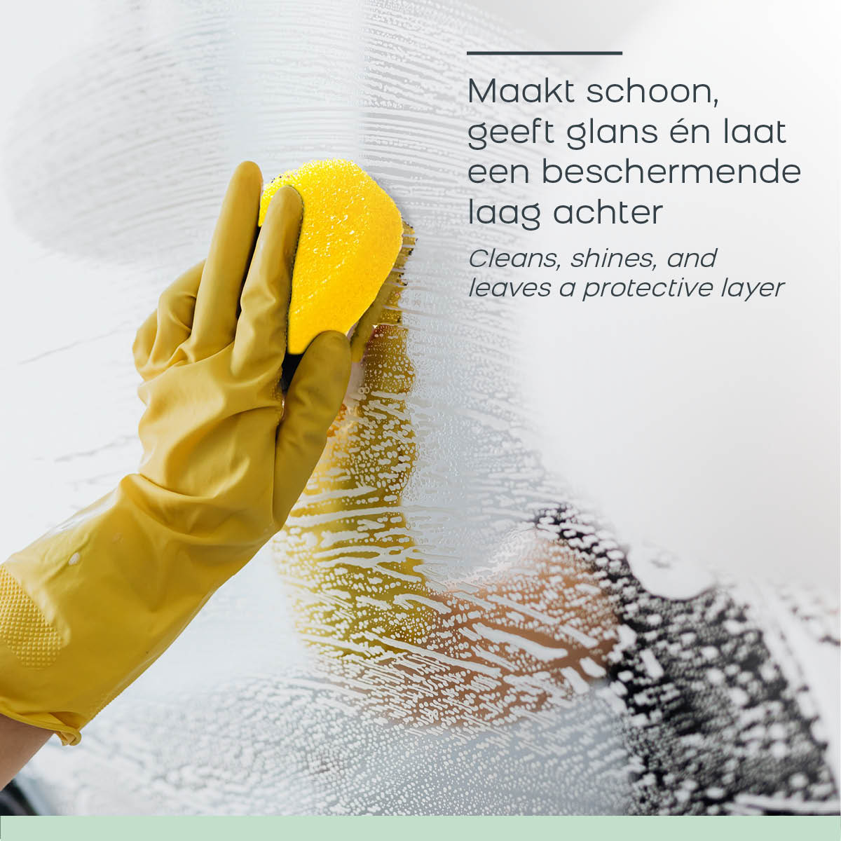 Shadazzle Cleaner – Eucalyptus – Többcélú tisztító és fényező