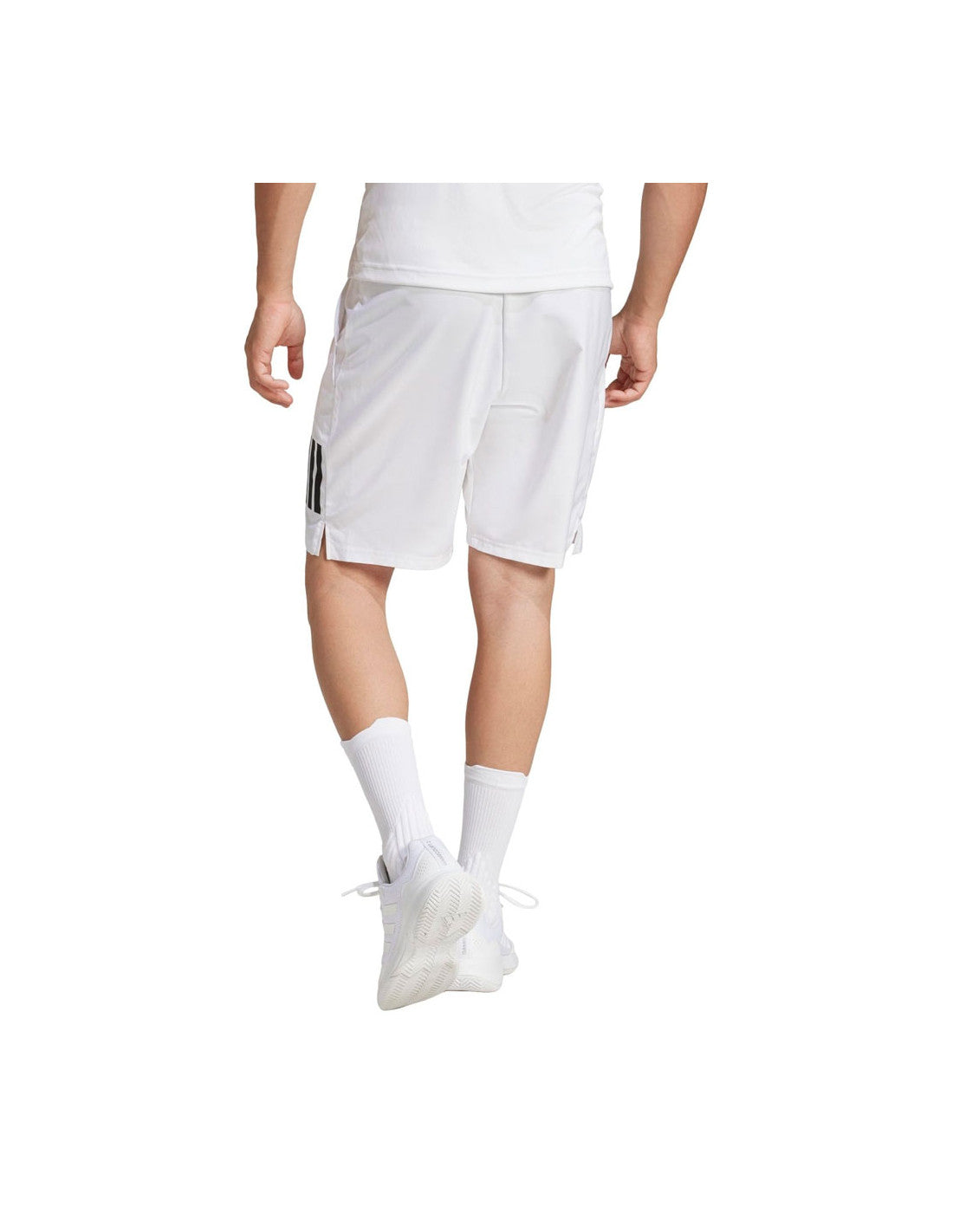 Adidas Shortclub 3STR 25