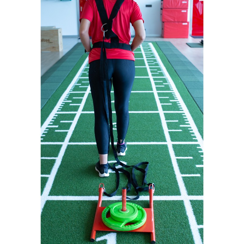 Entrenamiento Trineo Multicolor