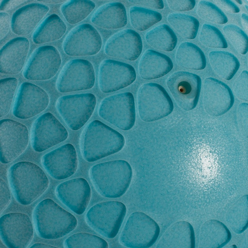 Softee Sensorial Netball Azul